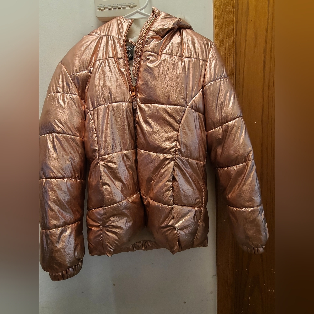 Pink Puffer